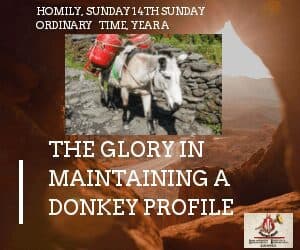 THE GLORY IN MAINTAINING A DONKEY PROFILE: Fr Femi Victor Orilua, CSSp