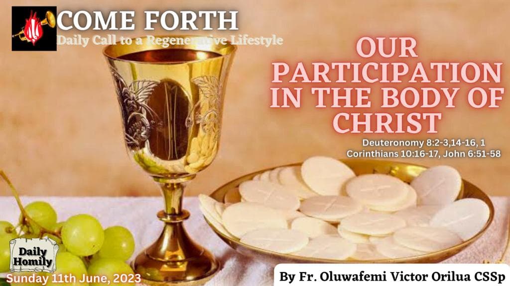 OUR PARTICIPATION IN THE BODY OF CHRIST, By Fr Oluwafemi Victor Orilua CSSp