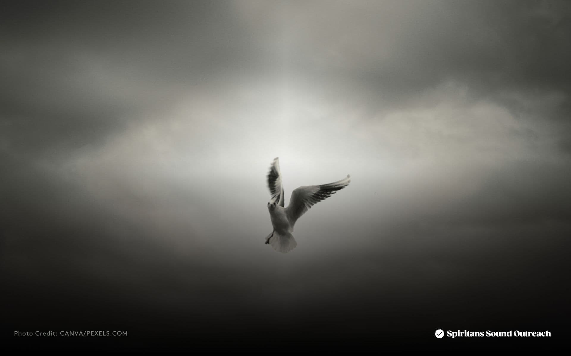 The Spirit that Liberates