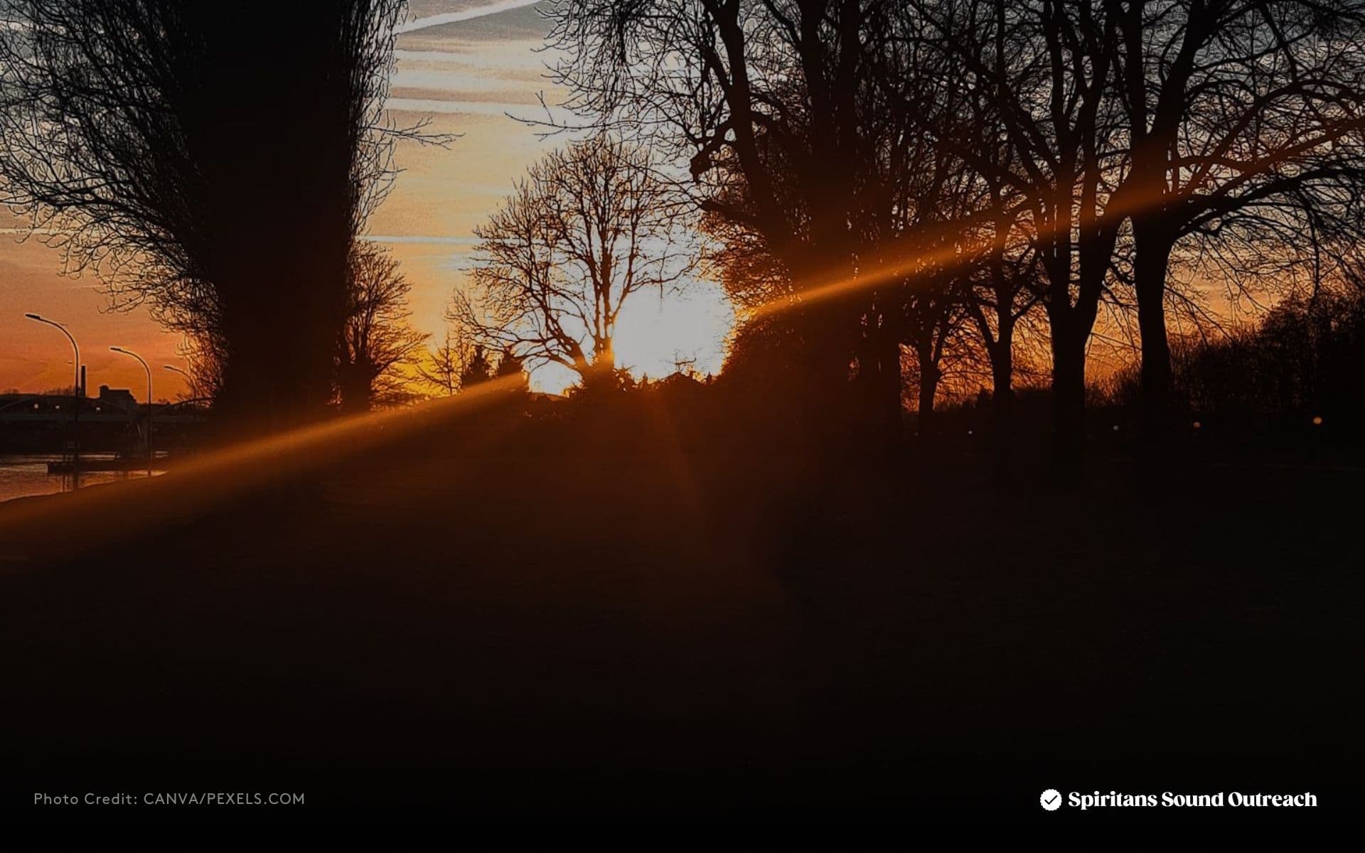 Light in the Shadows