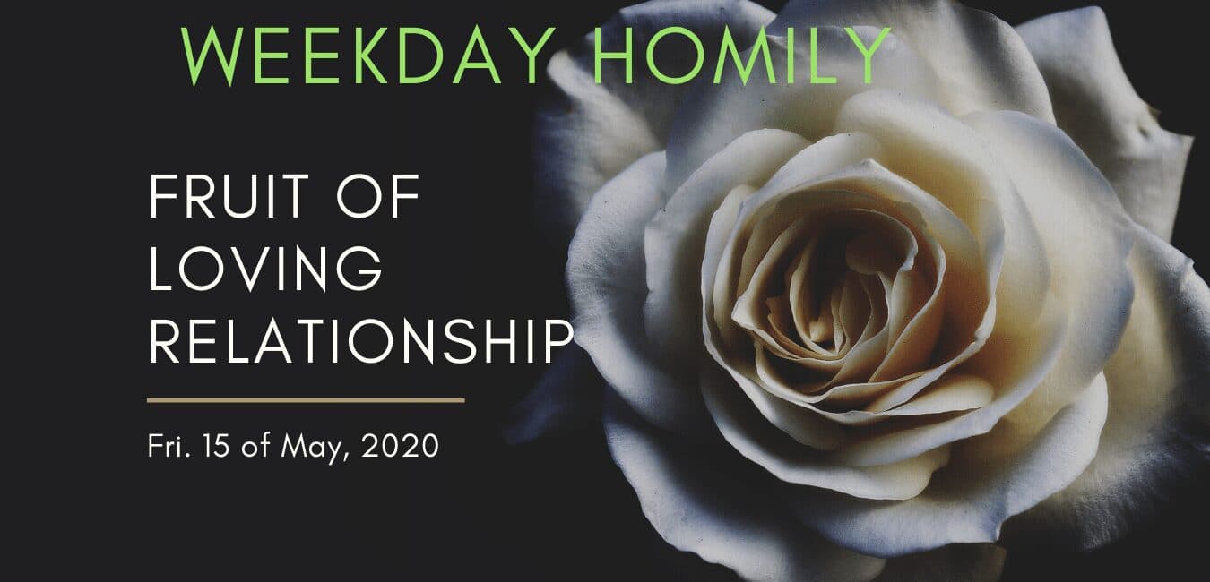 THE FRUIT OF LOVING RELATIONSHIP,Friday 15 May Homily.